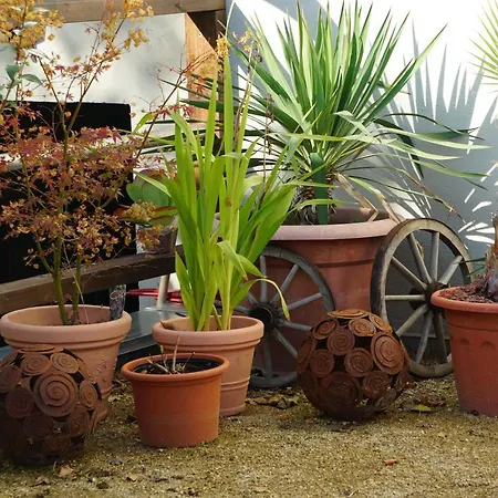 Zum Birnbaum Guest house Brandenburg (Brandenburg an der Havel)