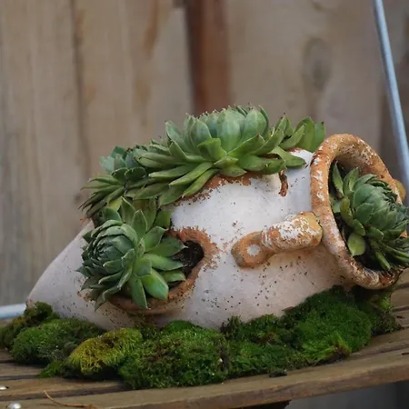 Zum Birnbaum Guest house *