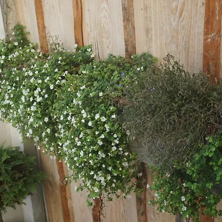 Zum Birnbaum Guest house *