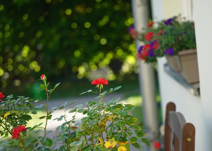 Guest house Zum Birnbaum *